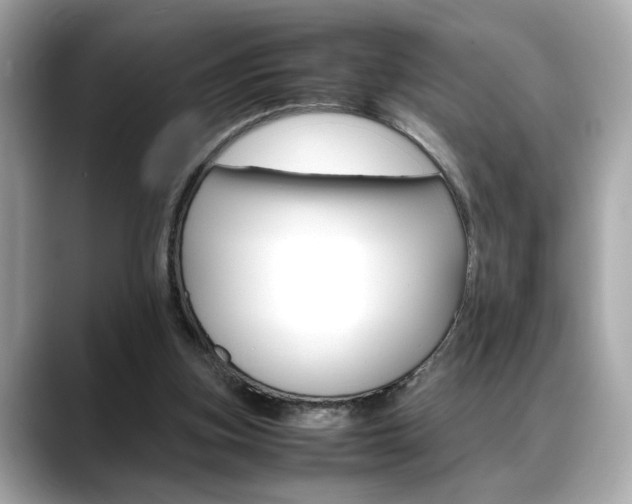 X0000088700155200705311022