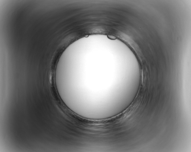 X0000088700157200705311022