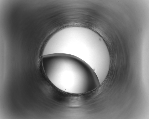 X0000088700160200705311022