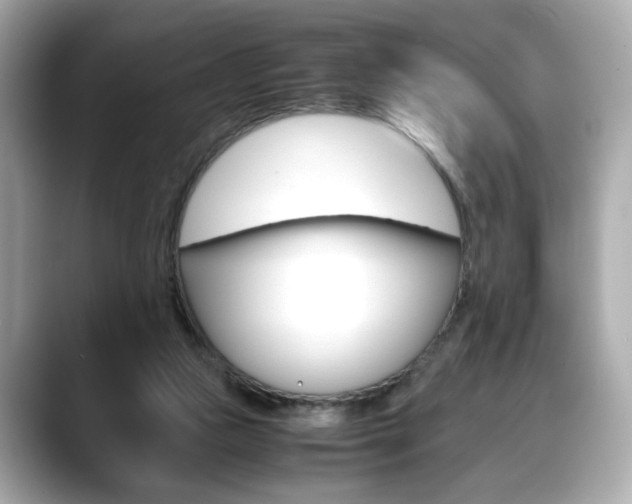 X0000088700161200705311022