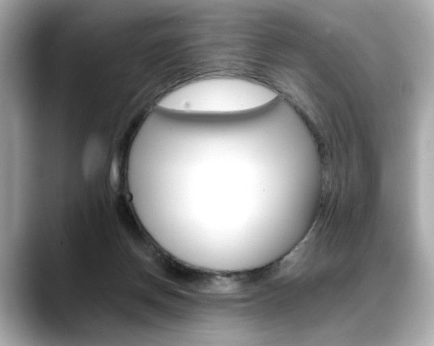 X0000088700166200705311023