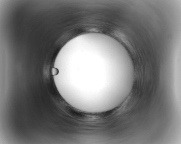 X0000088700167200705311023