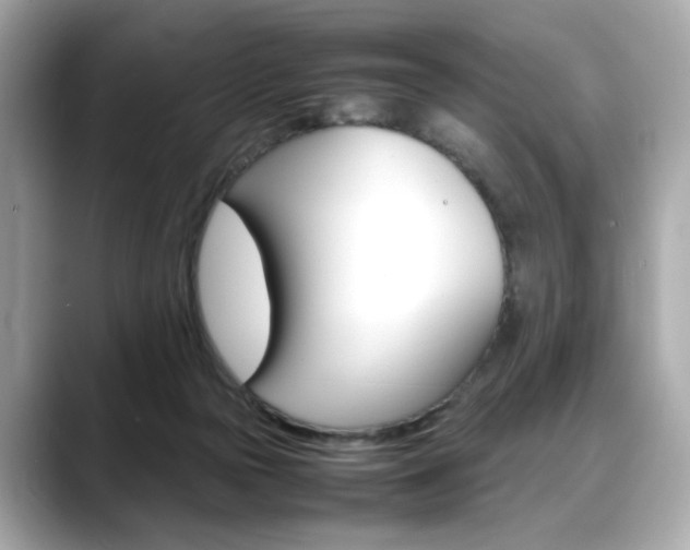 X0000088700169200705311023