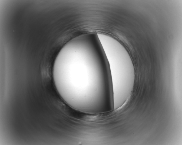 X0000088700170200705311023