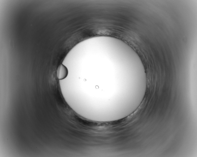 X0000088700175200705311023