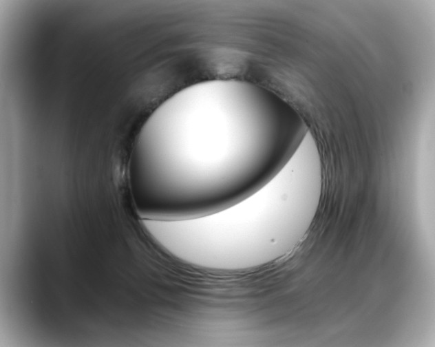 X0000088700176200705311023