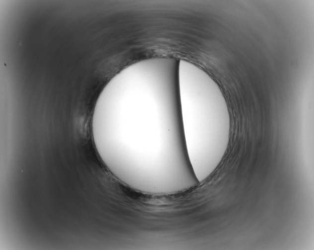 X0000088700177200705311023