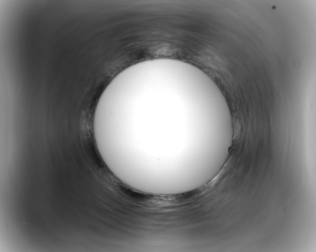 X0000088700179200705311023
