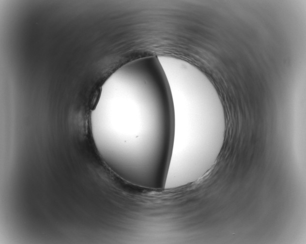 X0000088700180200705311023