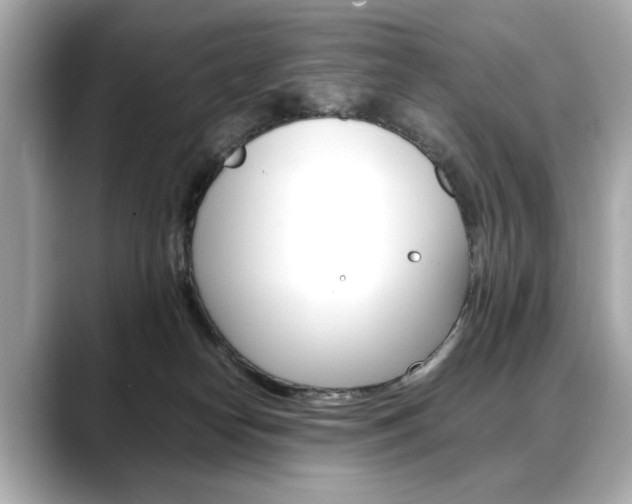 X0000088700182200705311023