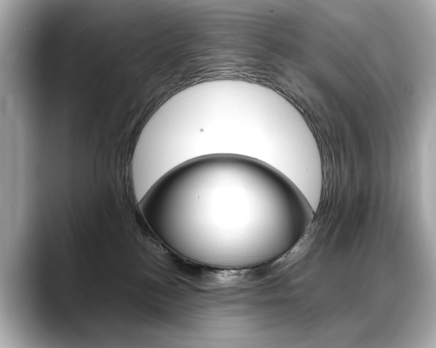 X0000088700184200705311023