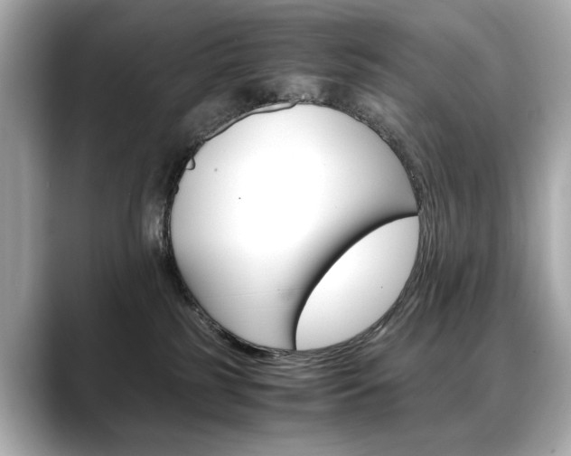 X0000088700185200705311023