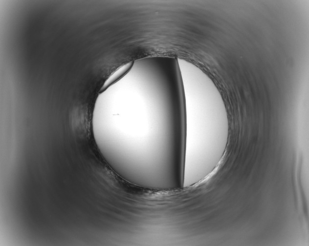X0000088700186200705311023