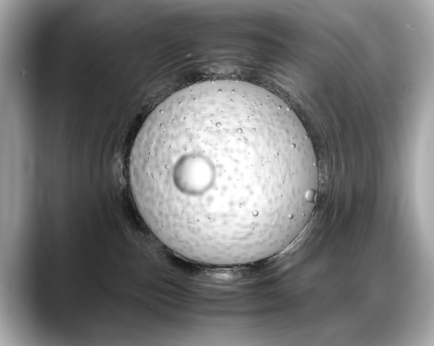 X0000088700187200705311023
