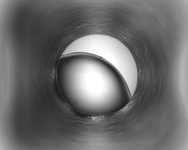 X0000088700188200705311023