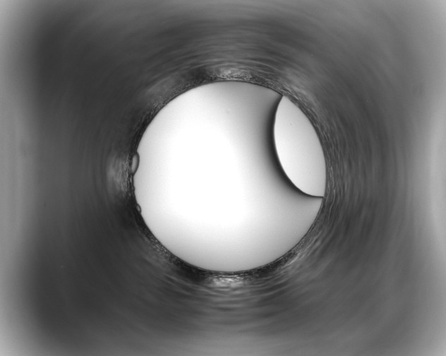 X0000088700189200705311023