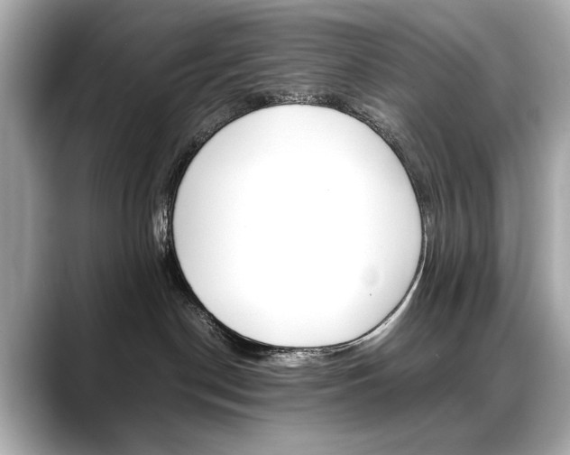 X0000088700190200705311023