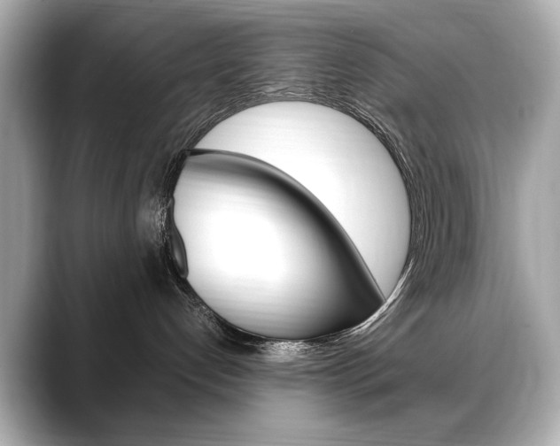 X0000088700192200705311023