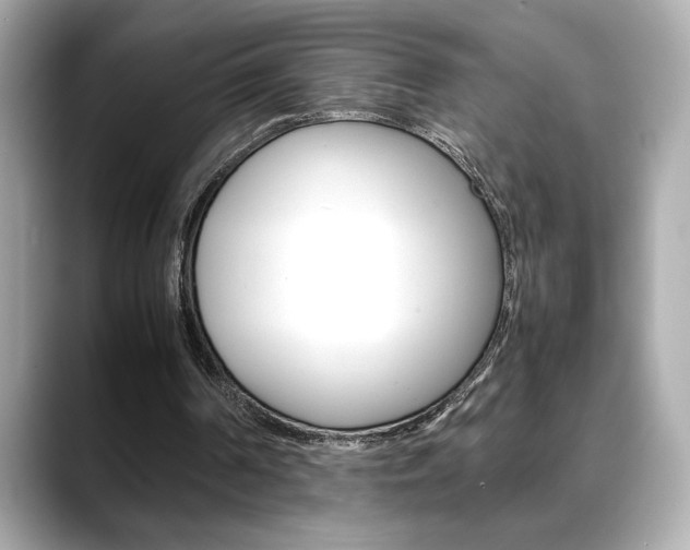 X0000088700194200705311022