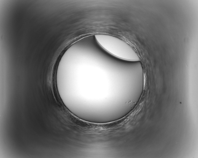 X0000088700195200705311022