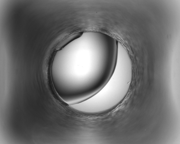 X0000088700197200705311022