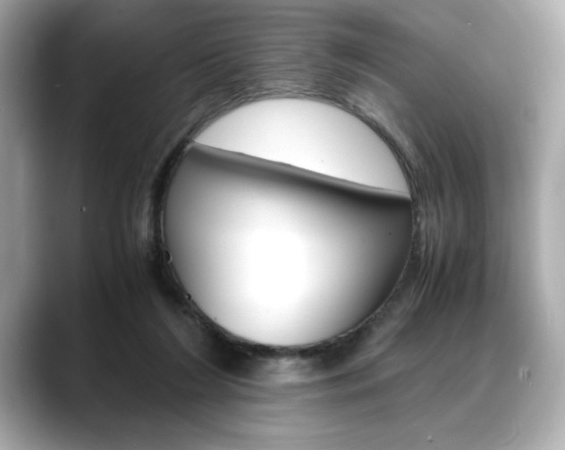 X0000088700212200705311022
