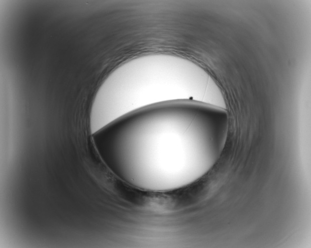 X0000088700215200705311022