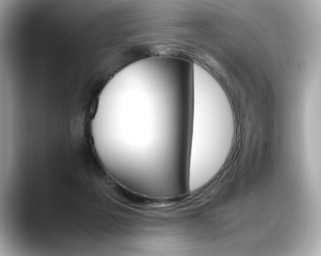 X0000088700217200705311022