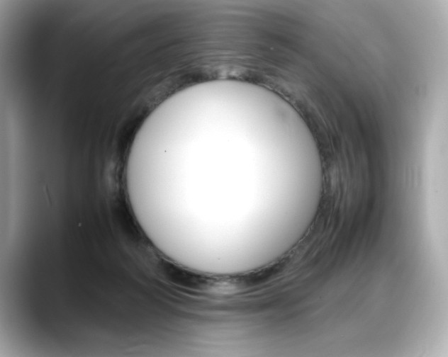 X0000088700218200705311022