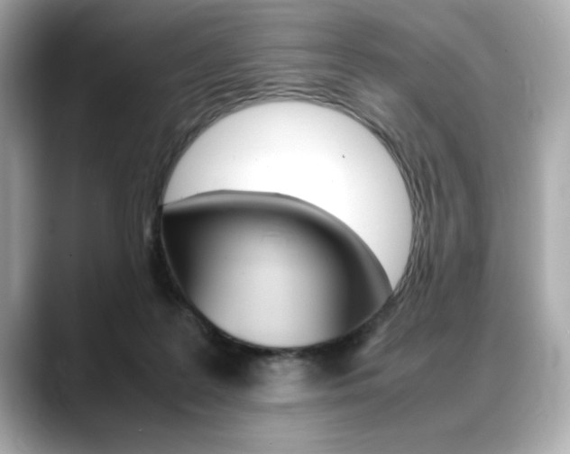X0000088700219200705311022