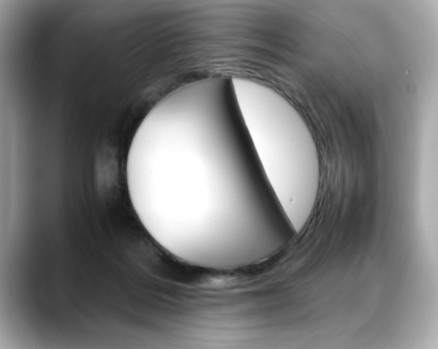 X0000088700220200705311022