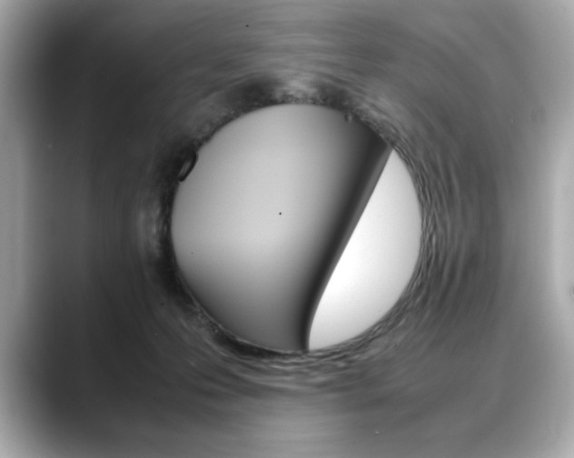 X0000088700223200705311022