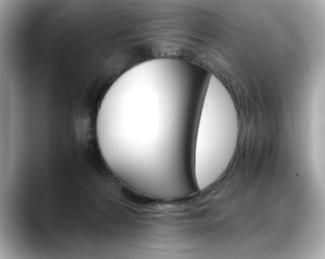 X0000088700224200705311022