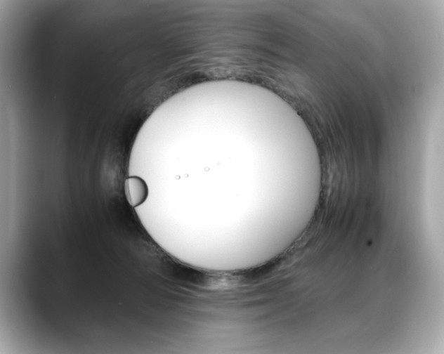X0000088700226200705311022