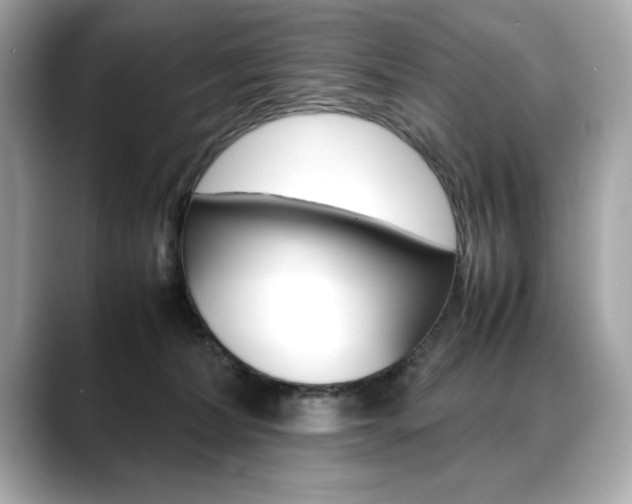 X0000088700228200705311022