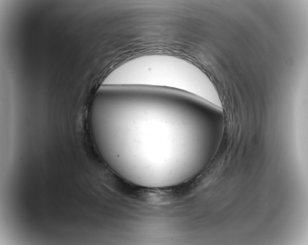 X0000088700229200705311022