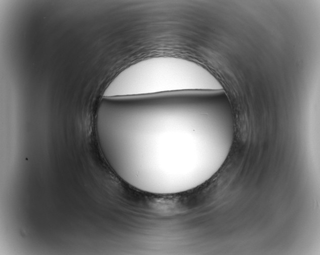 X0000088700232200705311022
