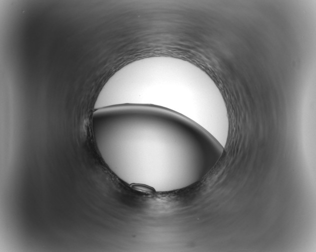 X0000088700235200705311022
