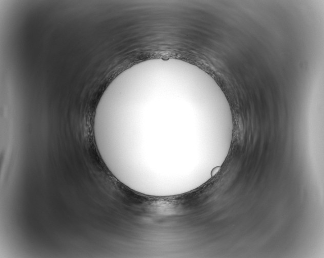 X0000088700236200705311022