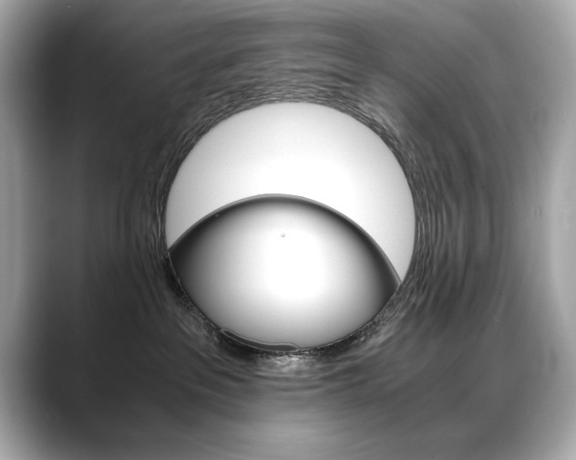 X0000088700237200705311022
