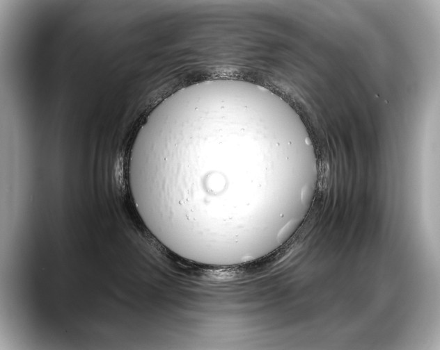 X0000088700238200705311022