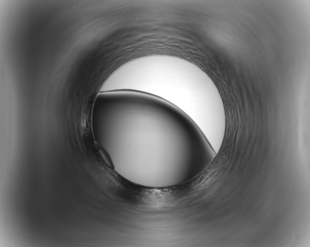 X0000088700239200705311022