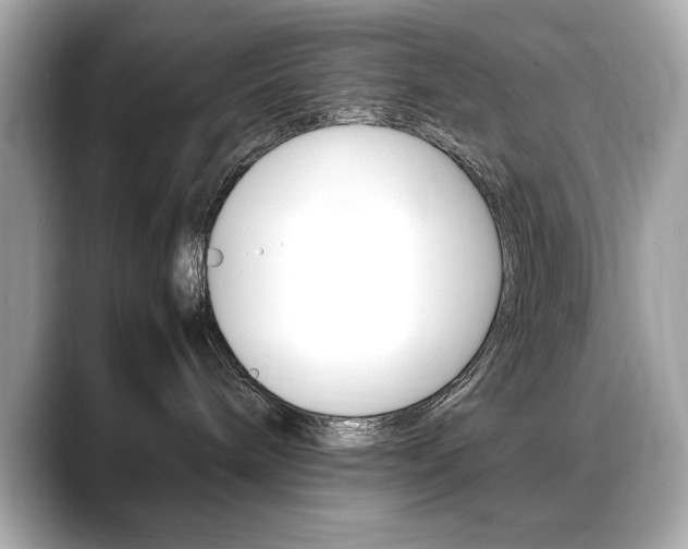 X0000088700240200705311022