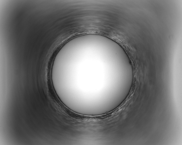 X0000088700242200705311021