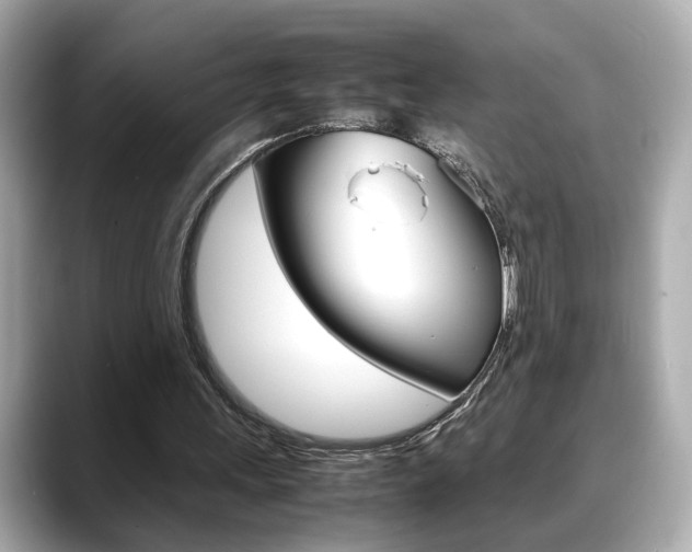 X0000088700243200705311021