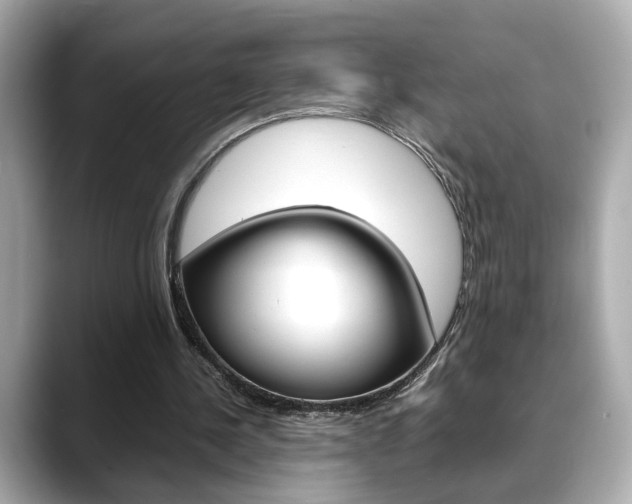 X0000088700244200705311021