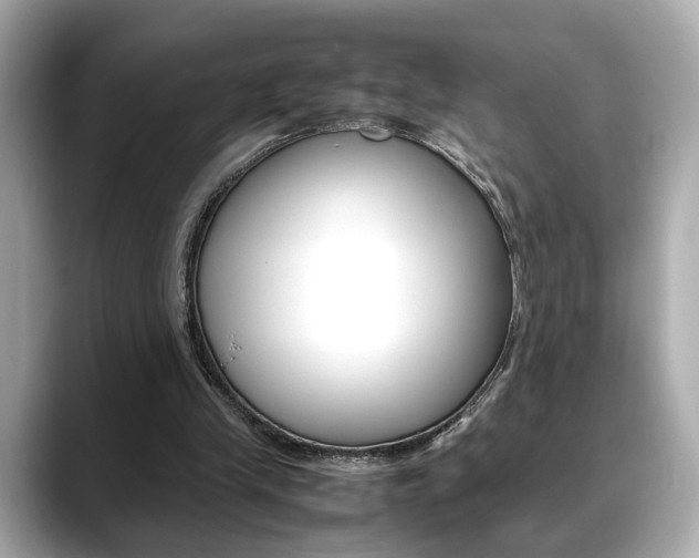 X0000088700245200705311021