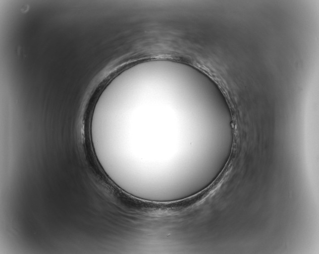 X0000088700246200705311021
