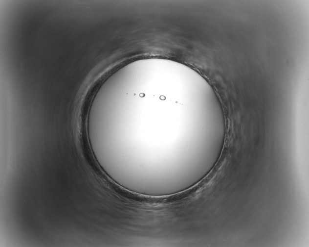X0000088700247200705311021