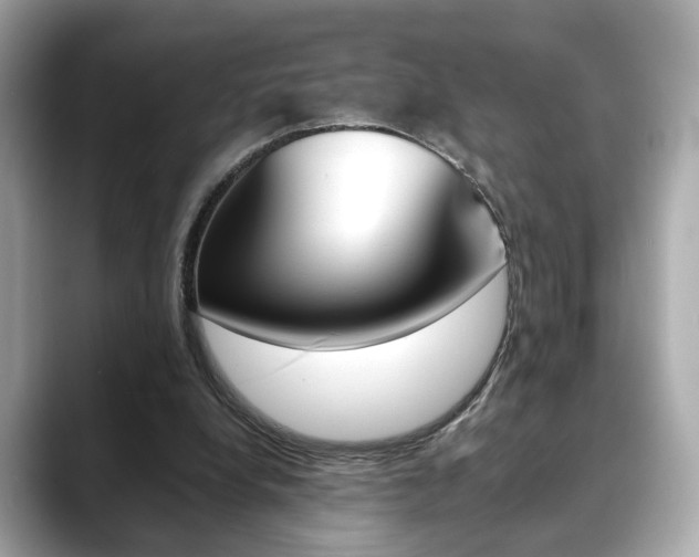 X0000088700248200705311021
